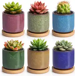 Amazon T4U 6CM Succulente Plantenpot Set van 6, Gekleurde Keramiek Vetplant Bloempot met Bamboe Onderzetter, Binnen Klein Cactus Pot aanbieding