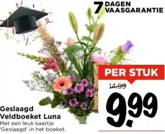 Vomar Voordeelmarkt Geslaagd Veldboeket Luna aanbieding