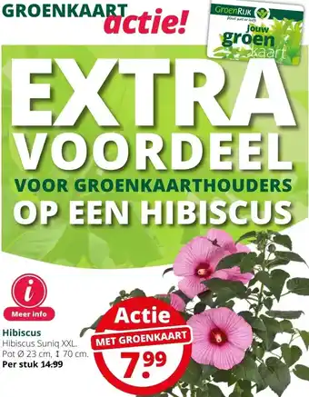 GroenRijk Hibiscus aanbieding