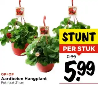 Vomar Voordeelmarkt Aardbeien Hangplant aanbieding