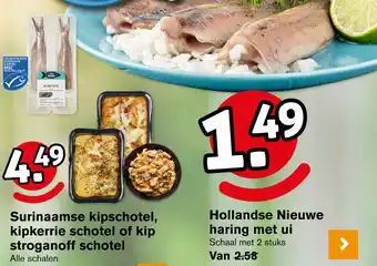 Hoogvliet Hollandse Nieuwe haring met ui aanbieding
