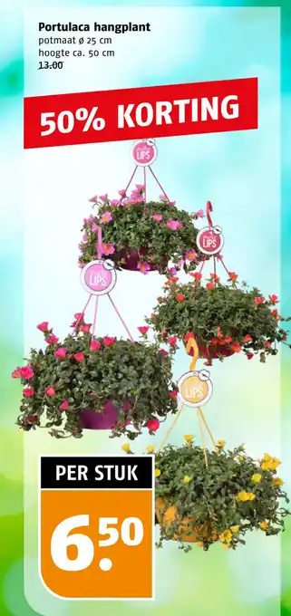 Poiesz Portulaca hangplant aanbieding