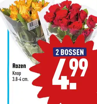 ALDI Rozen Knop aanbieding