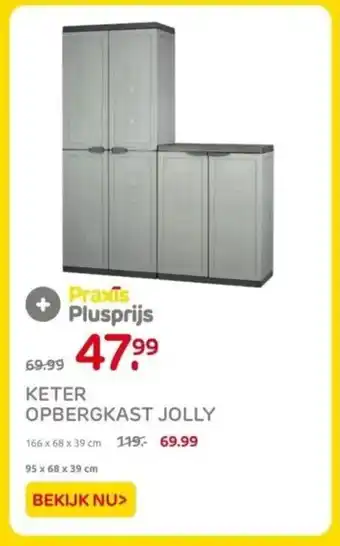 Praxis KETER OPBERGKAST JOLLY aanbieding