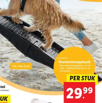 Lidl Zoofari Hondenloopplank aanbieding