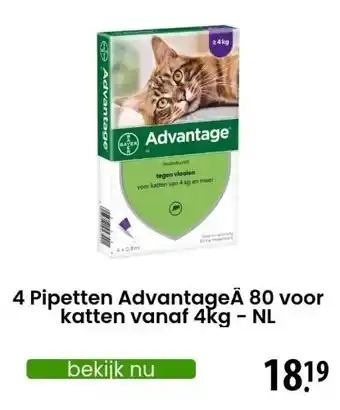 Zooplus 4 Pipetten AdvantageÂ 80 voor katten vanaf 4kg - NL aanbieding