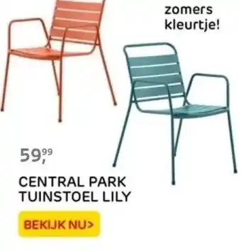 Praxis CENTRAL PARK TUINSTOEL LILY aanbieding