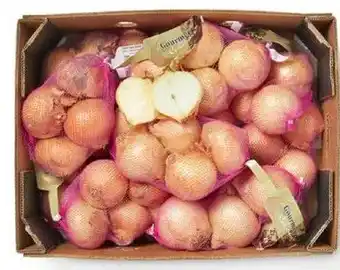 HANOS Gourmet Culinair Zoete uien aanbieding
