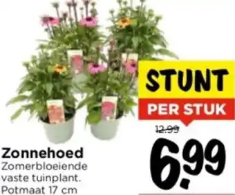 Vomar Voordeelmarkt Zonnehoed aanbieding