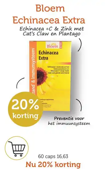 De Rode Pilaren Bloem Echinacea Extra aanbieding