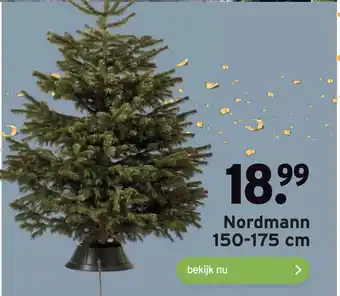 GAMMA Nordmann 150-175 cm aanbieding