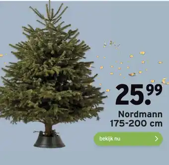 GAMMA Nordmann 175-200 cm aanbieding