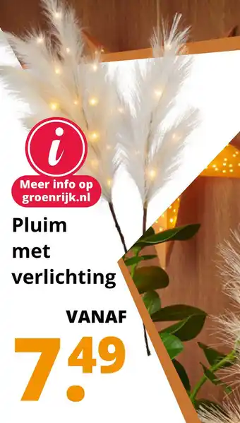 GroenRijk Pluim met verlichting aanbieding