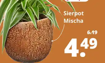 GroenRijk Sierpot Mischa aanbieding