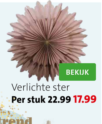 Intratuin Verlichte ster aanbieding
