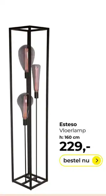 Lampidee Esteso - Vloerlamp stalen frame 3 lichts h:160cm zwart aanbieding