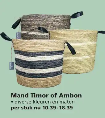 Ranzijn Mand Timor of Ambon aanbieding