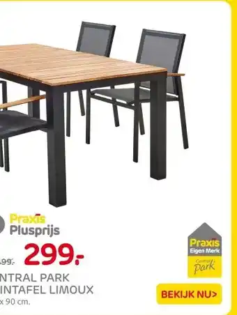 Praxis CENTRAL PARK TUINTAFEL LIMOUX aanbieding