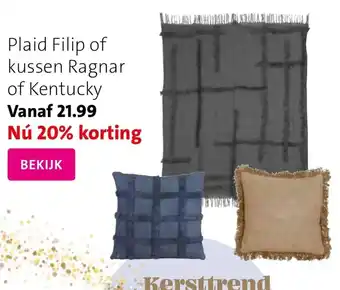 Intratuin Plaid Filip of kussen Ragnar of Kentucky aanbieding