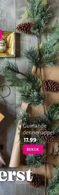 Intratuin Guirlande dennenappel aanbieding