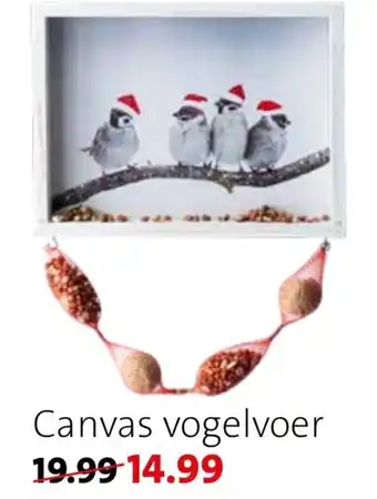 Intratuin Canvas vogelvoer aanbieding