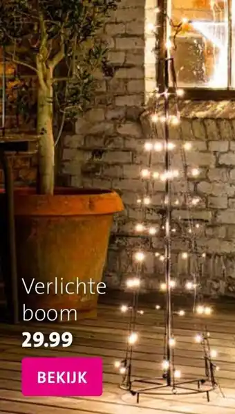 Intratuin Verlichte boom aanbieding