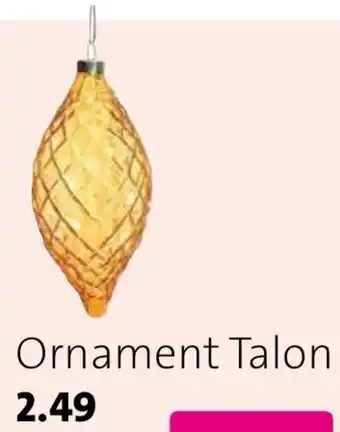 Intratuin Ornament Talon aanbieding