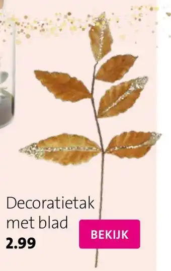 Intratuin Decoratietak met blad aanbieding