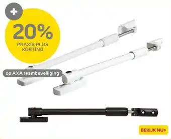Praxis AXA raambeveiliging aanbieding