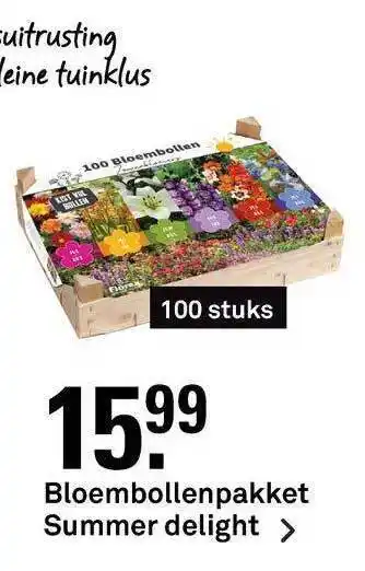 Karwei Bloembollenpakket summer delight aanbieding