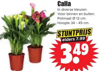 Dirk Calla aanbieding