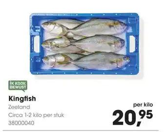 HANOS Kingfish aanbieding