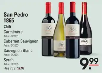 Sligro San pedro 1865 syrah fles 75 cl aanbieding