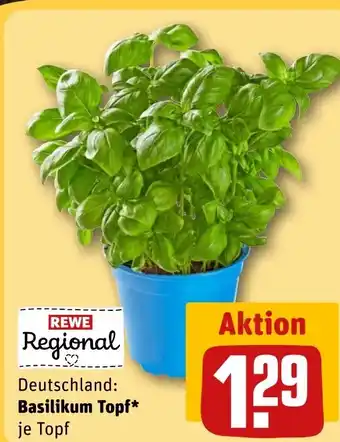 Rewe DE Basilikum Topf aanbieding