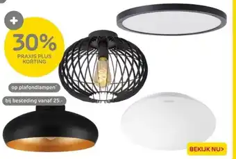 Praxis op plafondlampen aanbieding