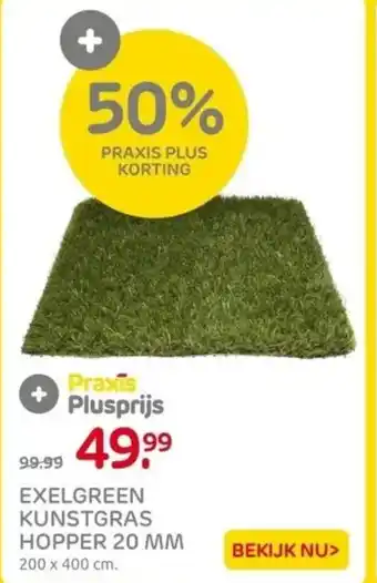 Praxis EXELGREEN KUNSTGRAS HOPPER 20 MM aanbieding