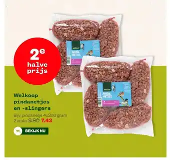 Welkoop Welkoop pindanetjes en -slingers aanbieding