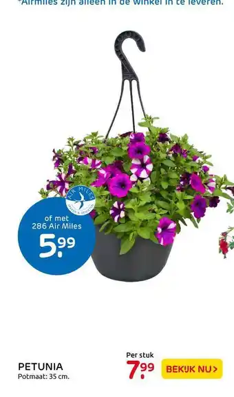 Praxis Petunia aanbieding