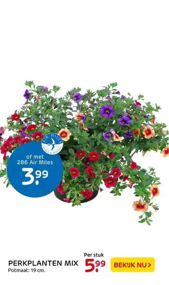 Praxis Perkplanten mix aanbieding