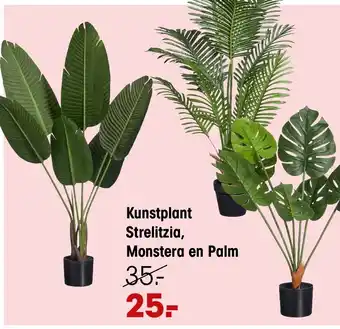 Kwantum Kunstplant strelitzia monstera en palm aanbieding