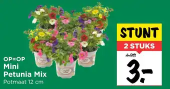 Vomar Voordeelmarkt Mini petunia mix aanbieding