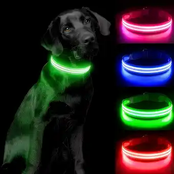 Amazon USB LED Halsband voor Honden Waterdicht Lichtgevende Halsbanden met 3 Standen voor Kleine Grote Honden - Groen - S aanbieding