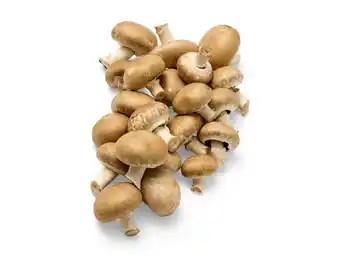 Lidl Kastanje champignons aanbieding