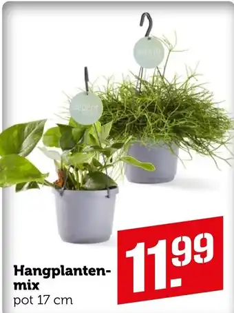 Coop Hangplanten-mix 17cm aanbieding