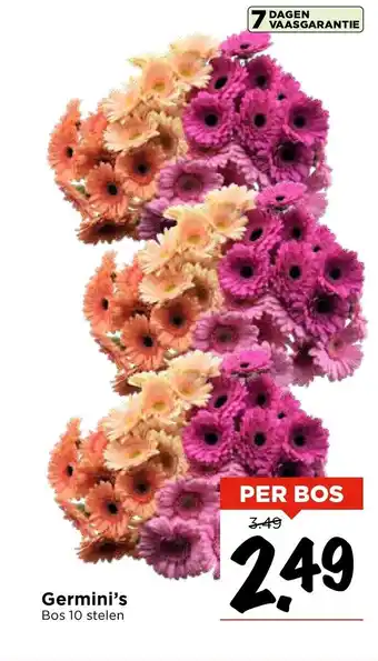 Vomar Voordeelmarkt Germini's aanbieding