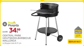 Praxis CENTRAL PARK HOUTSKOOLBARBECUE MALLORCA aanbieding