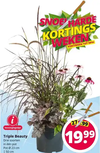 GroenRijk Triple Beauty Ø23 cm aanbieding