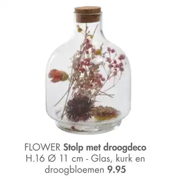 Casa Flower Stolp Met Droogdeco aanbieding