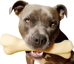 Amazon Nylabone Extreme, kauw- en tandspeelgoed voor honden, hondenbotten, voor agressief/sterk kauwen, kippensmaak, voor extra grot aanbieding