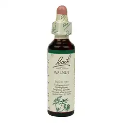 Holland & Barrett Bach Bloesem Remedie Walnut (20ml) aanbieding